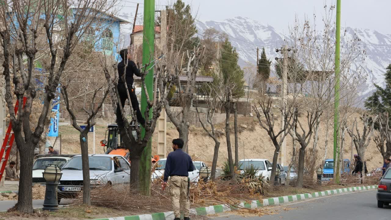 خانه‌تکانی‌شهری|  آغاز آراستن قامت درختان شهر دماوند
