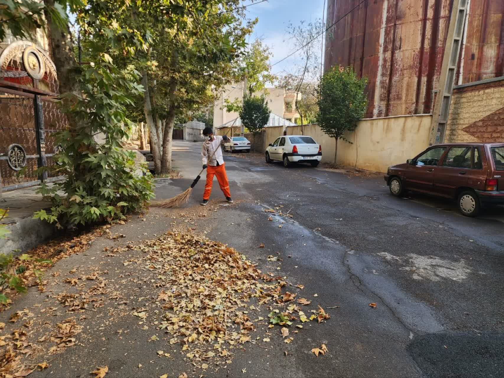 جمع‌آوری روزانه برگ‌های خشک و پسماندهای گیاهی از معابر شهر